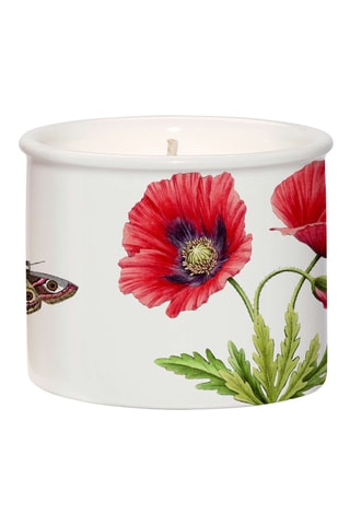 Vela Botanic Garden - Blanco