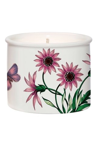 Vela Botanic Garden - Blanco