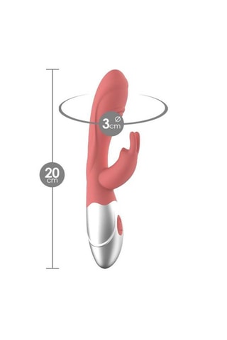 Vibromasseur My Rabbit - Rose et argenté - 20 cm