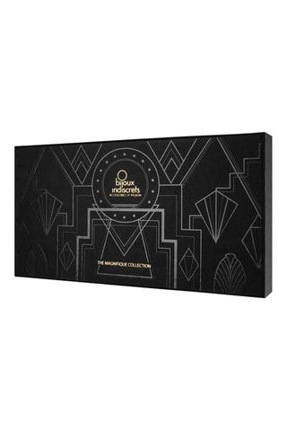 2 chaines de pieds Magnifique Argenté