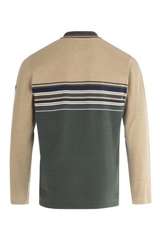 Polo - Verde scuro e beige - Terre de Marins