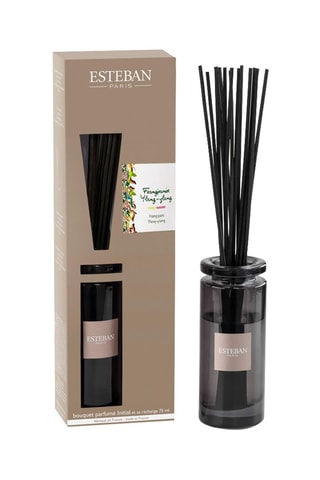 Ambientador de varillas decorativo y recarga 75 ml - Temple Balinais