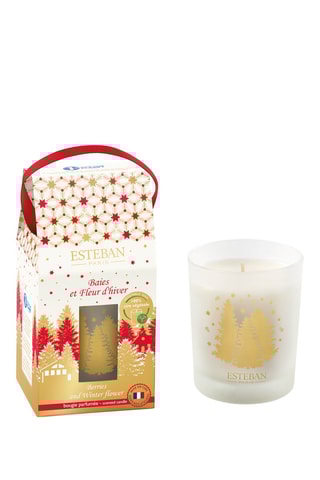 Vela perfumada -  Bayas y flor de invierno