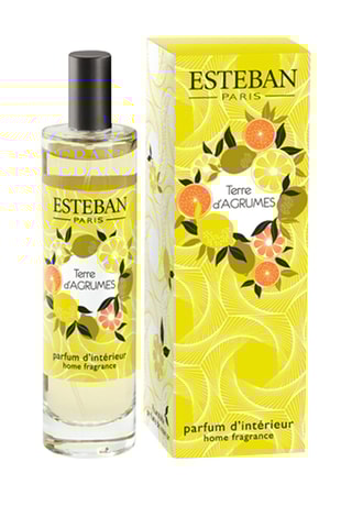 Ambientador con vaporizador - Tierra cítrica - 100 ml