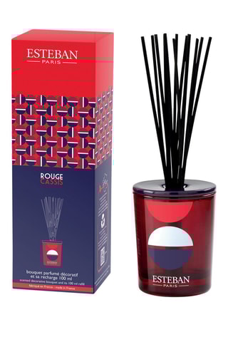 Ambientador de varillas decorativo y recarga 100 ml - Rojo grosella