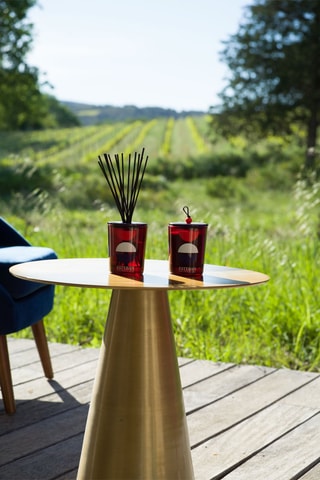 Ambientador de varillas decorativo y recarga 100 ml - Rojo grosella