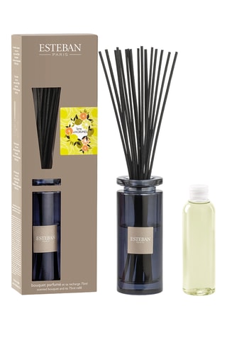 Ambientador de varillas con recarga «Tierra cítrica» - 75 ml