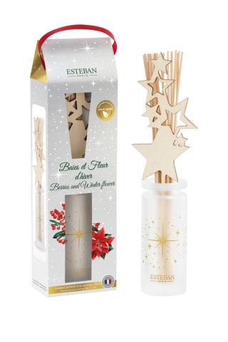 Ambientador de varillas con recarga «Bayas y flor de invierno» - 100 ml