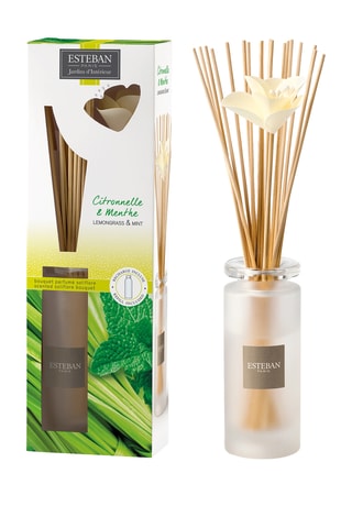 Ambientador de varillas con recarga «Citronela y menta» - 75 ml