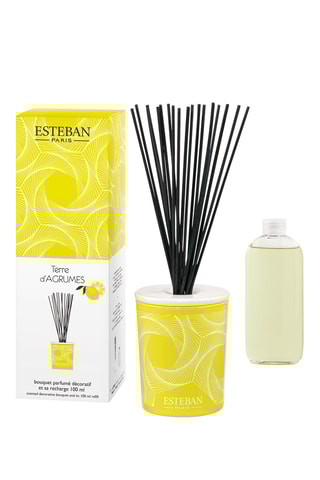 Ambientador de varillas «Tierra cítrica» - 100 ml