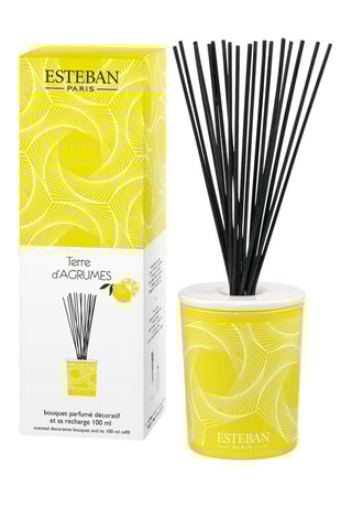 Ambientador de varillas «Tierra cítrica» - 100 ml