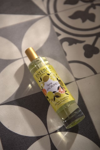 Ambientador de varillas «Tierra cítrica» - 100 ml