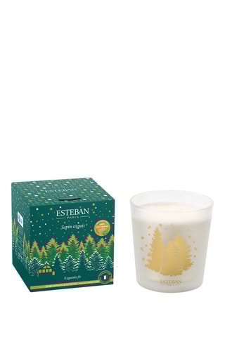 Vela perfumada « Abeto exquisito»