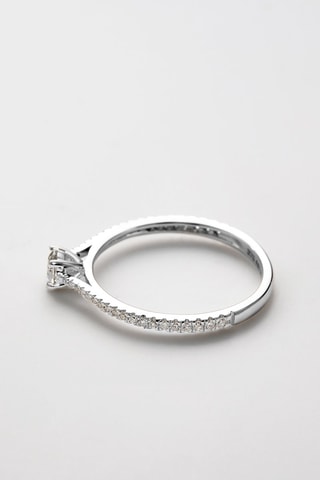 Solitario Royal - Oro blanco y diamantes