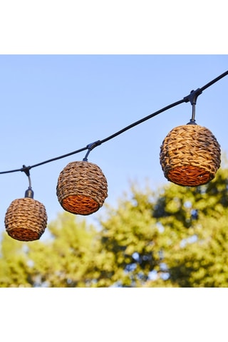 Decorazione luminosa Pine Light - 600 cm