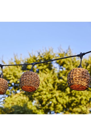 Decorazione luminosa Pine Light - 600 cm