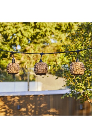 Decorazione luminosa Pine Light - 600 cm