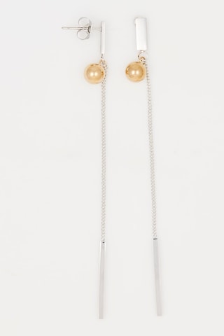 Boucles d'oreilles Argenté