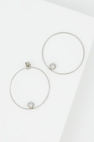 Boucles d'oreilles Argenté