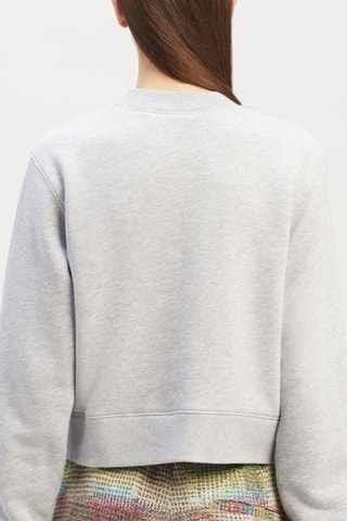 Sweat - Gris clair et marron