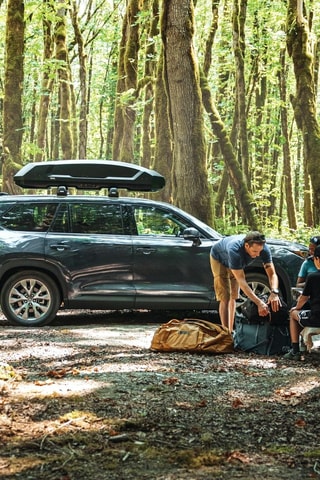 Baúl de techo talla L - 195 cm