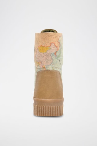 Botines  - Multicolor