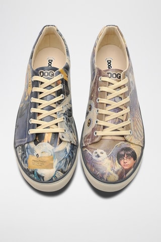 Zapatillas Harry and Hedwig Harry Potter  - Multicolor