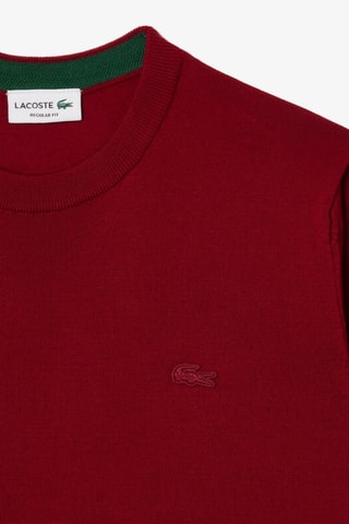 Pull regular en laine - Bordeaux