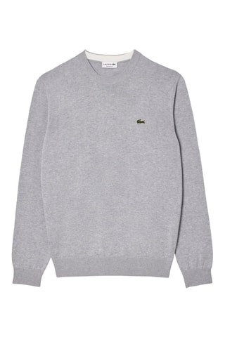 Pull en coton biologique - Gris clair
