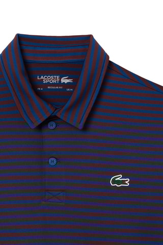 Polo regular - Bleu pétrole et marron