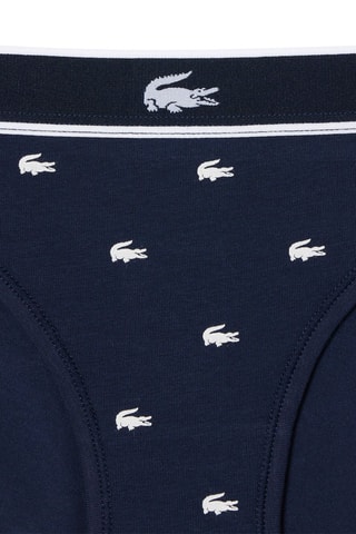 Culotte - Bleu marine