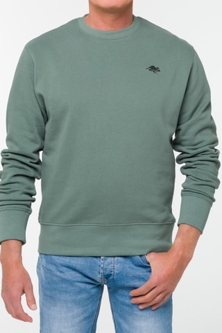 Sudadera regular fit Eagle - Verde y negro