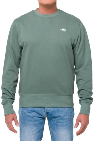 Sudadera regular fit Eagle - Verde y beige