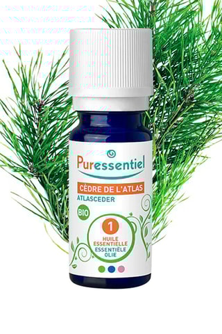 Olio essenziale di cedro dell’Atlante bio - 5 ml