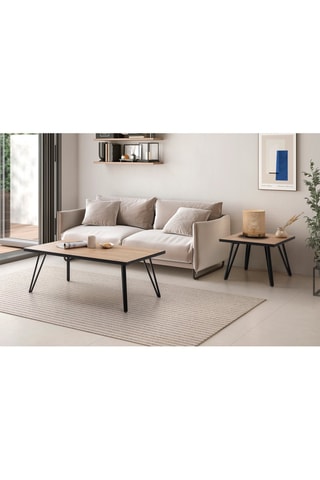 Table basse - 60 x 45 x 60 cm