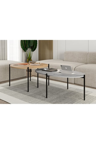 2 tables basses - 80 x 45,6 x 80 cm/100 x 39,6 x 60 cm