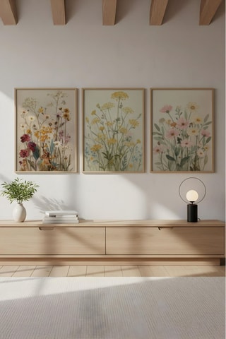 3 cuadros - 50 x 35 cm