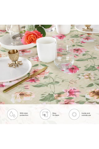 Nappe - Magnolia - Taupe