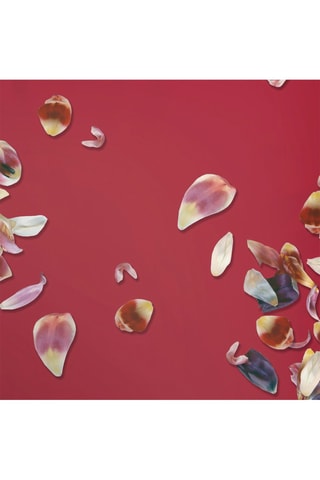 Taie d'oreiller en satin de coton 200 fils/cm² Aurore - Rouge et rose