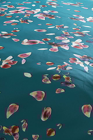 Parure de couette en satin de coton 80 fils/cm² Aurore - Vert