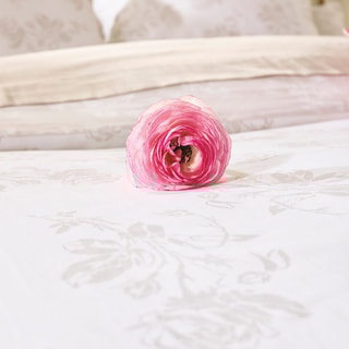 Parure de couette en satin de coton 200 fils/cm² Roses - Taupe et blanc