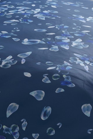 Copripiumino in raso di cotone 80 fili/cm² Aurore - Navy