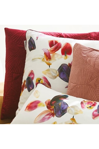 Coussin Aurore - Blanc