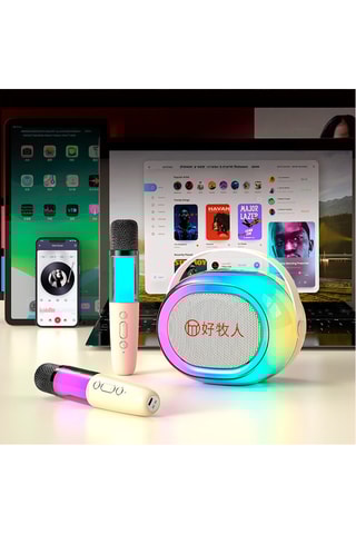 Cassa wireless per karaoke - 15 W