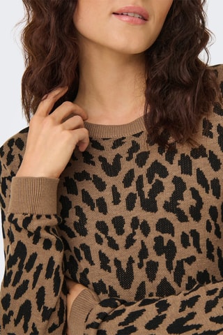 Pull regular - Marron