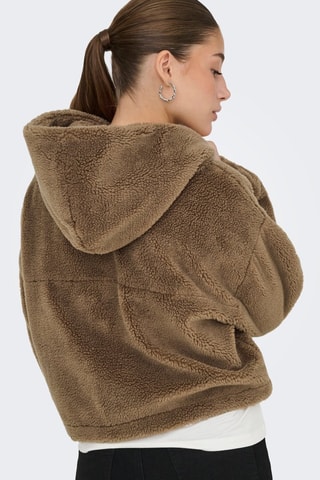 Sweat à capuche - Marron