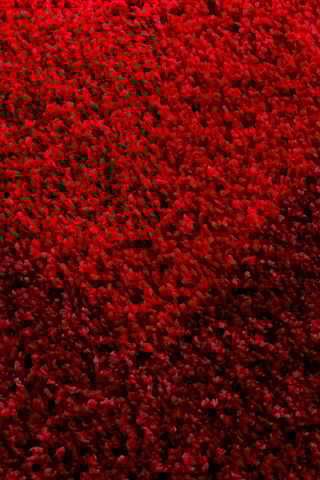 Tapis Life - Bordeaux et rouge