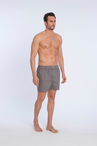 Boxershort Bruin