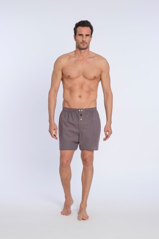 Boxershort Bruin