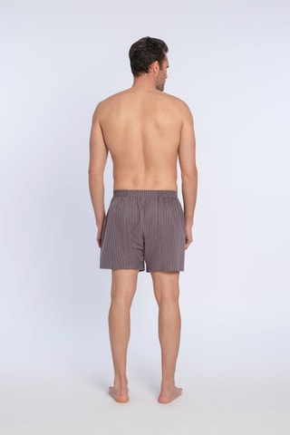 Boxershort Bruin